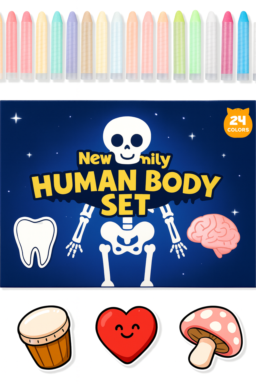 Human Body Chalk Set – Explore How the Body Works!