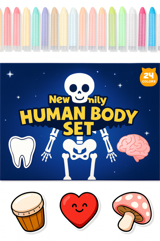 Human Body Chalk Set – Explore How the Body Works!